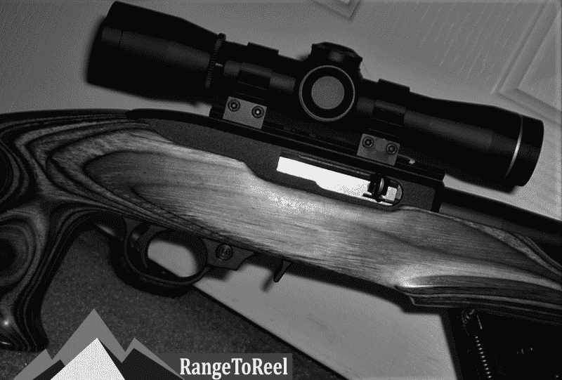 Bushnell's Banner scope is the Best Ruger Charger Scope