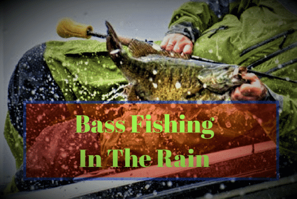 Bass Fishing In The Rain