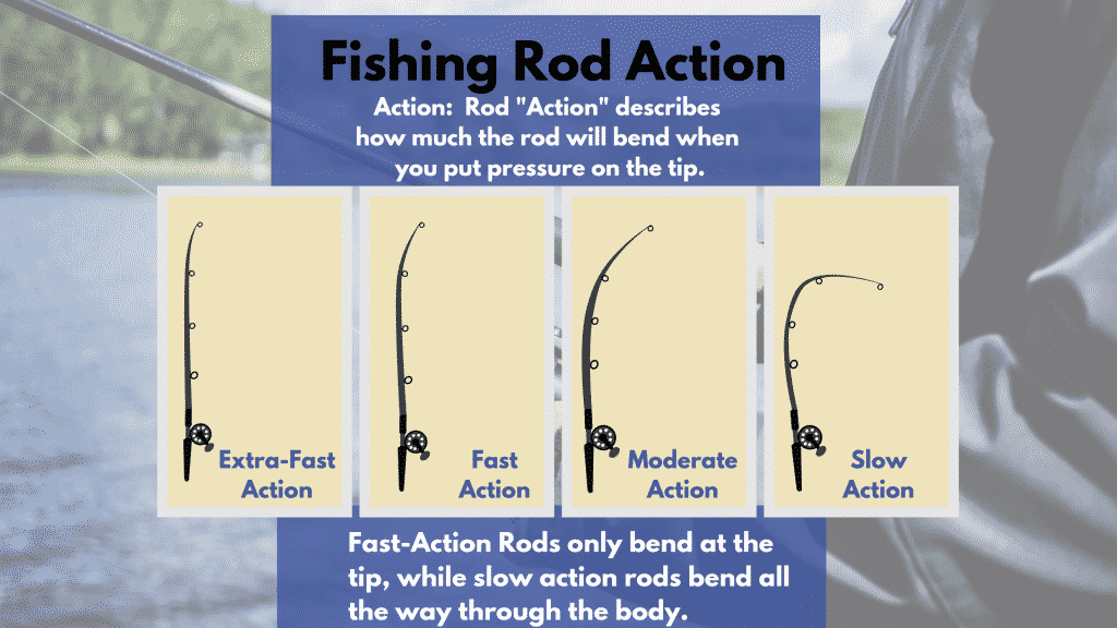 Fishing Rod Power: Light, Medium and Heavy